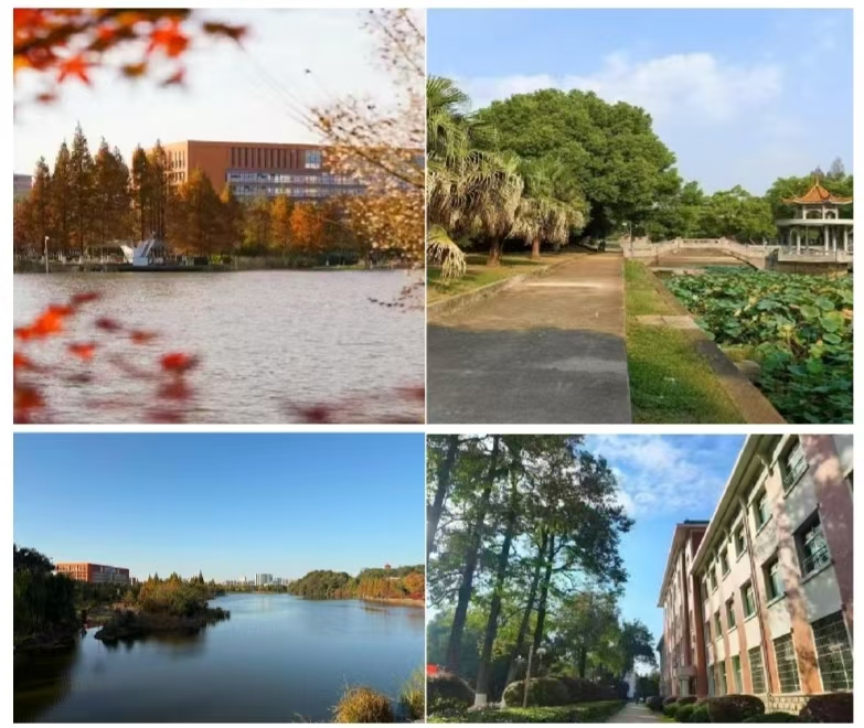 0638太阳集团官网